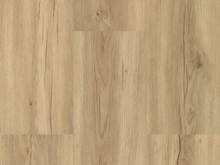 6502 Gipfeleiche Breitdiele – Gesamtansicht Oberfläche