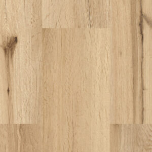 „Gesamtansicht Eiche Himmelsblick Naturboden