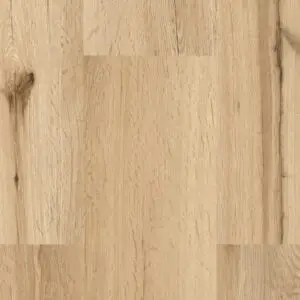 „Gesamtansicht Eiche Himmelsblick Naturboden