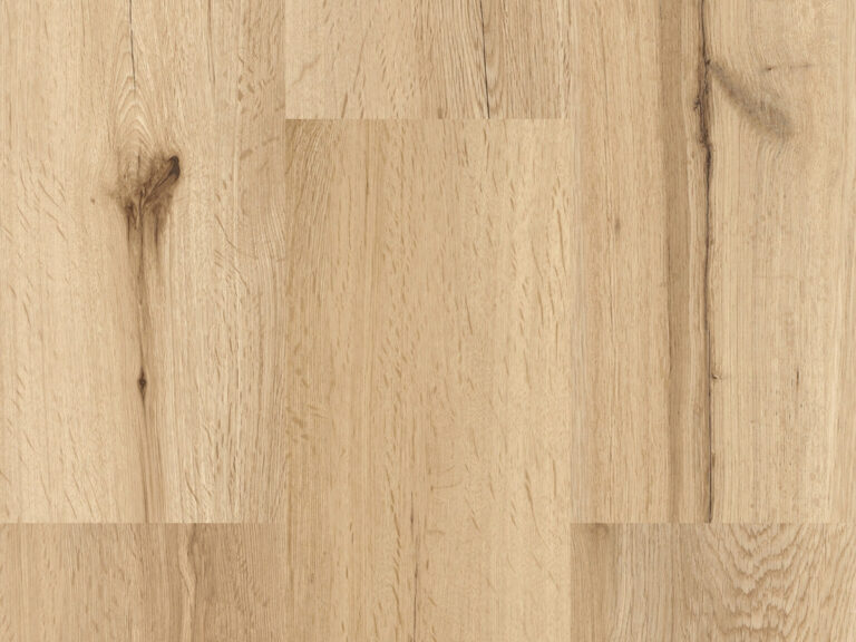 „Gesamtansicht Eiche Himmelsblick Naturboden