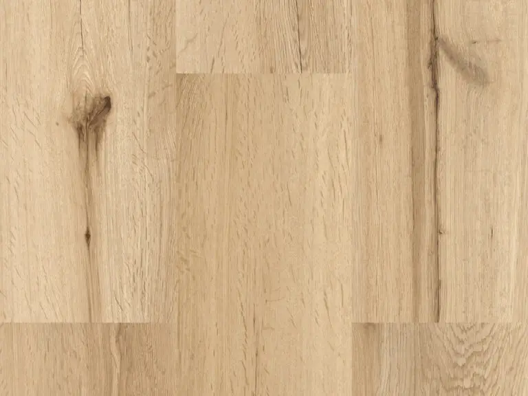 „Gesamtansicht Eiche Himmelsblick Naturboden