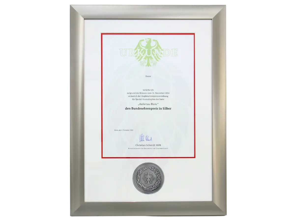 Urkunde mit im Rahmen integrierter Münze/Medaille von Reiser in Mainburg